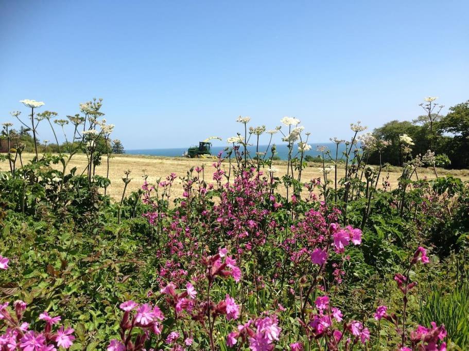 Little Bream - Pretty Cosy Cottage, Sea Views, Walk To The Beach Mawnan Smith Exteriér fotografie